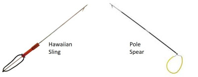 HawaiianSlingAndPoleSpear.jpg